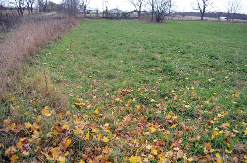 Property photo 39 - 80 Acres & Home - Property Offered in 4 Tracts from 2.3 to 30.0 Acres